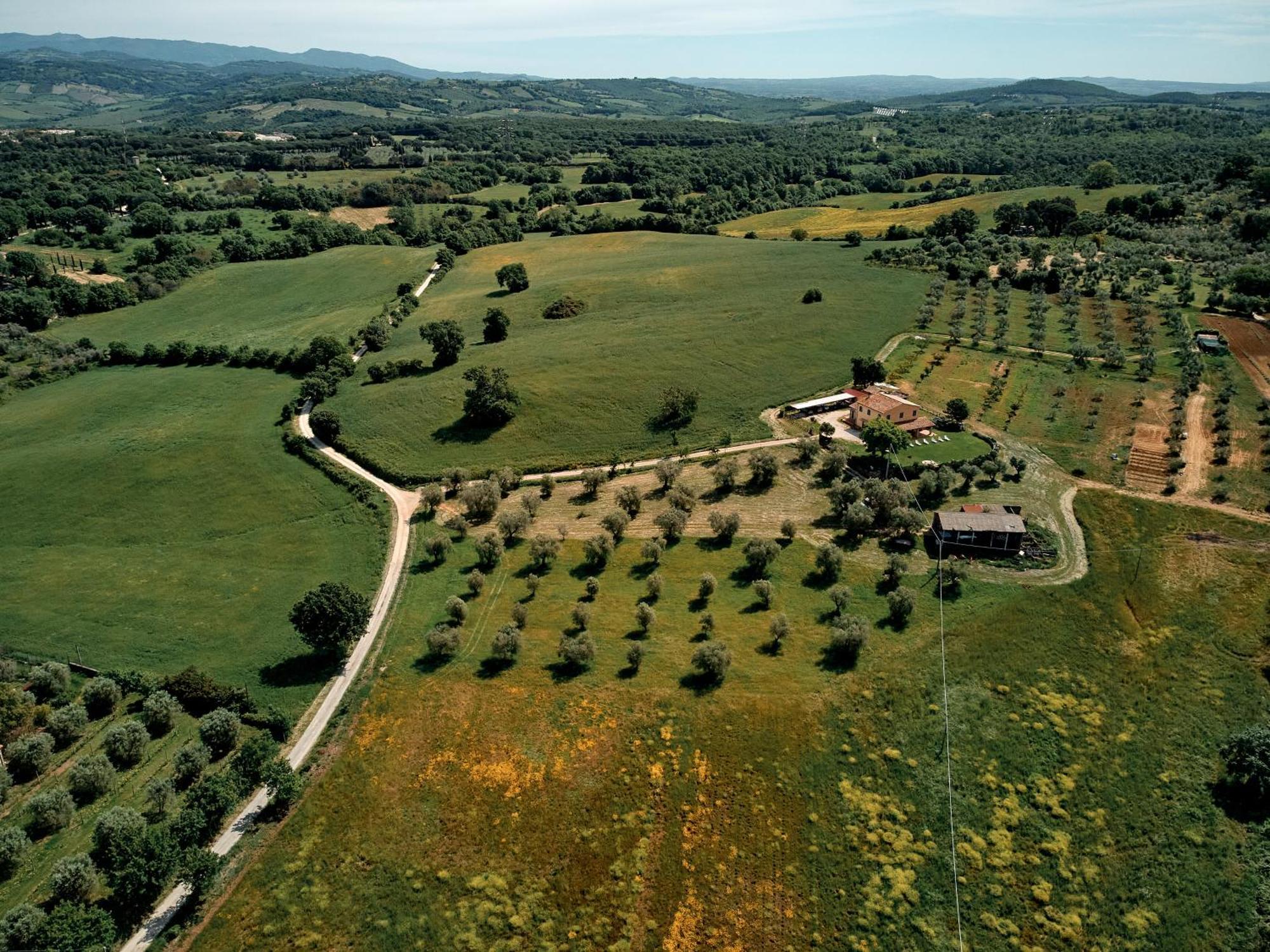 מנצ'יאנו 8380 Agriturismo Il Saragiolo מראה חיצוני תמונה