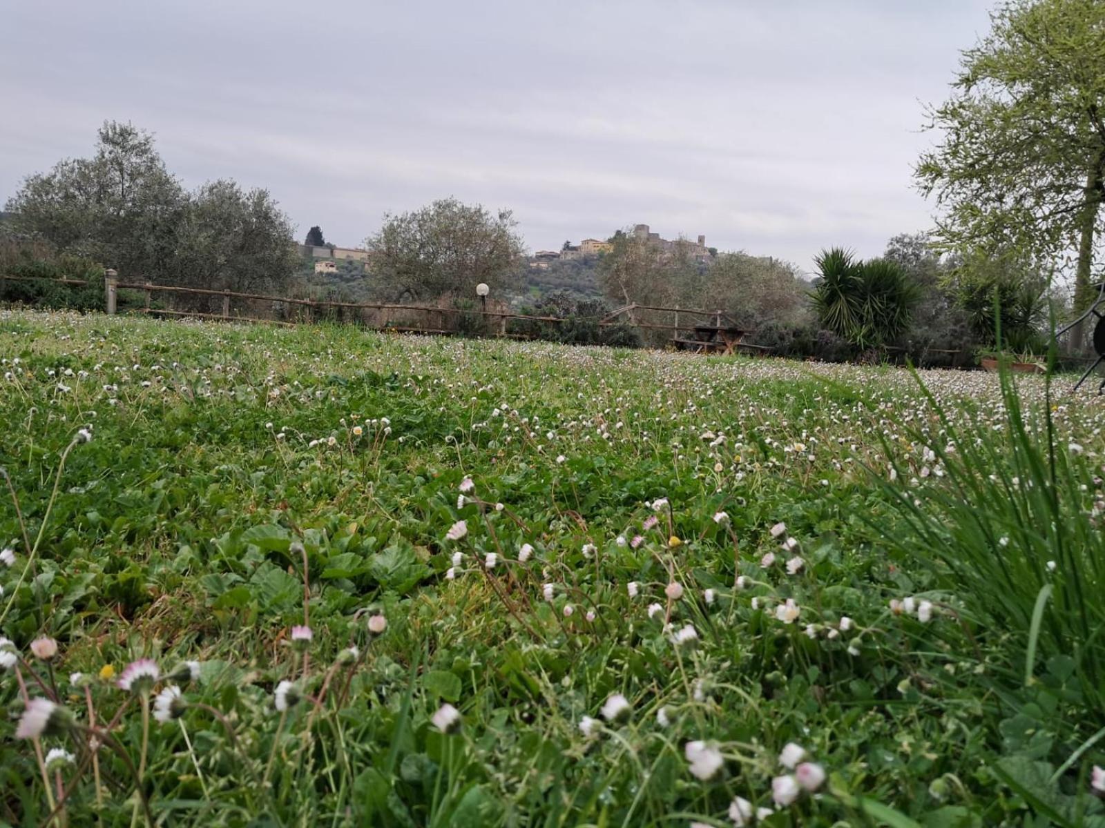 מנצ'יאנו 8380 Agriturismo Il Saragiolo מראה חיצוני תמונה